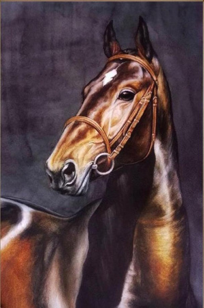 Ахалтекинец | Akhal - Teke